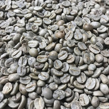 Brazil Cerrado unroasted green coffee