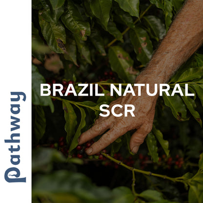 Brazil Natural scr